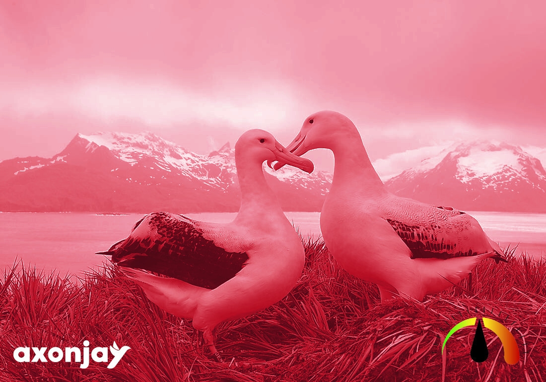 AxonJay albatross — sustainability tracker
