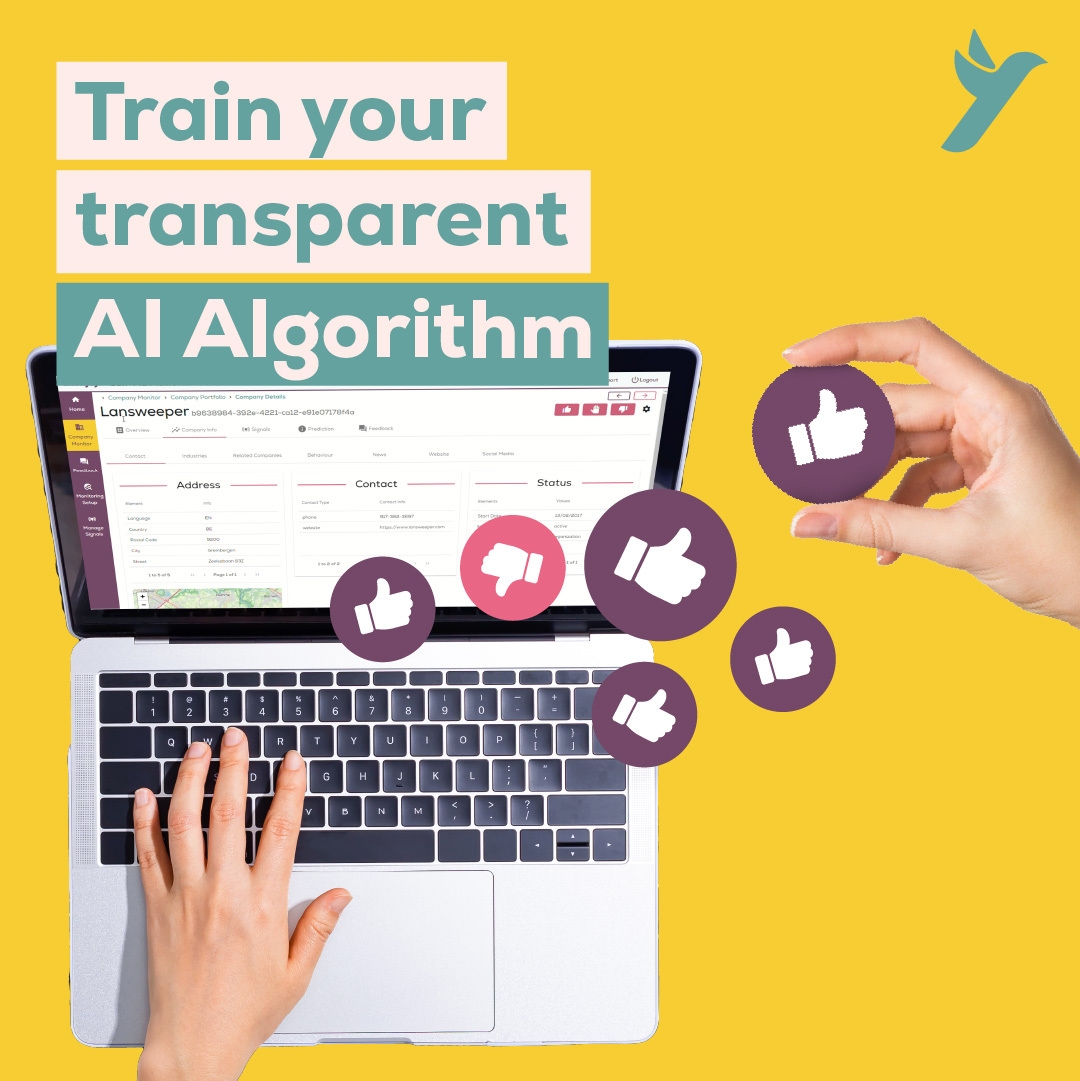Train your Transparent AI Algorithm